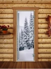 Стеклянная дверь для бани и сауны Престиж фотопечать А091 (DoorWood) Стеклянная дверь для бани и сауны Престиж фотопечать А091 (DoorWood)