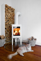 Чугунная печь-камин F 163 WHE (Jotul)